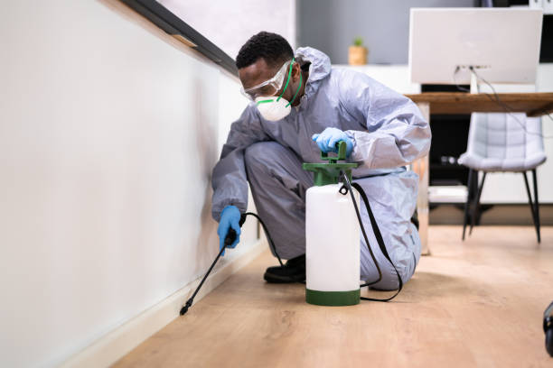 Best Bed Bug Extermination  in Meadowlakes, TX